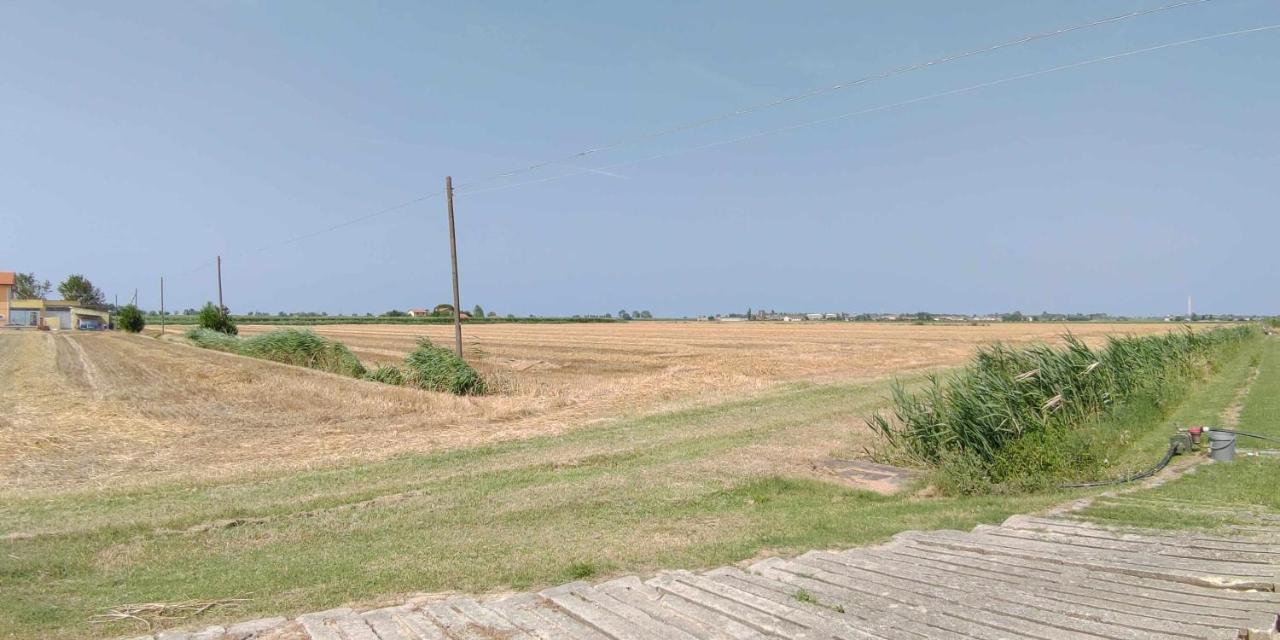 Agriturismo La Fraterna Tolle Екстериор снимка
